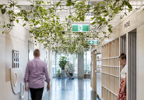 绿意盎然，以人为本 澳大利亚Cardno服务公司布里斯班亚太总部设计欣赏
